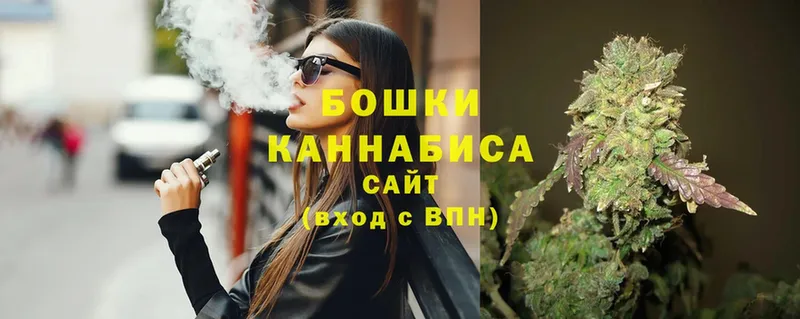 Бошки Шишки SATIVA & INDICA  Болохово 